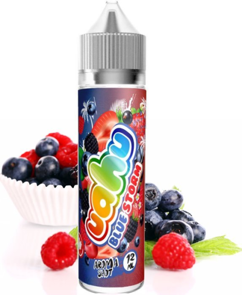 S&V příchuť Blue Storm 12ml (2)